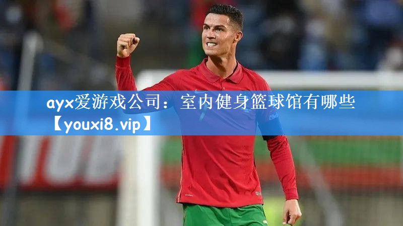 ayx爱游戏公司:室内健身篮球馆有哪些