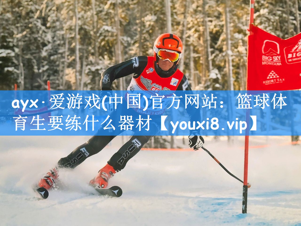 ayx·爱游戏(中国)官方网站:篮球体育生要练什么器材