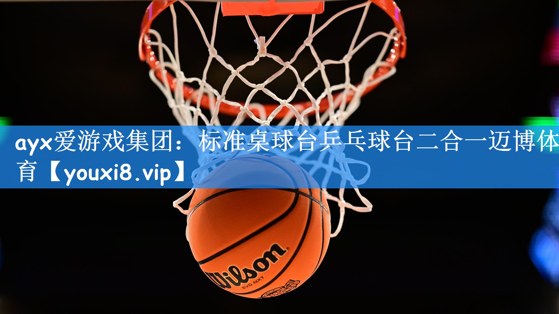 ayx爱游戏集团:标准桌球台乒乓球台二合一迈博体育