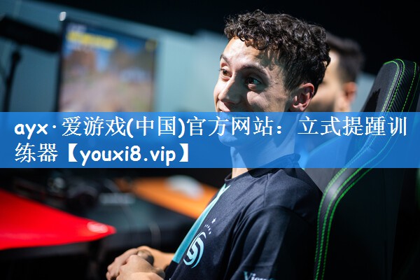ayx·爱游戏(中国)官方网站:立式提踵训练器