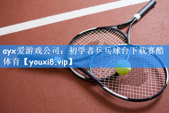 ayx爱游戏公司:初学者乒乓球台下载赛酷体育