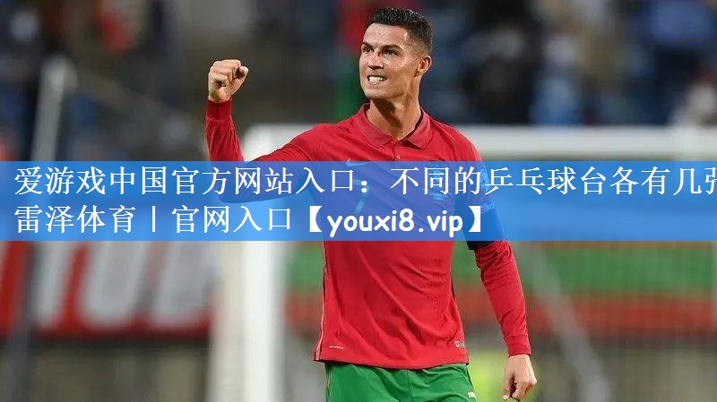 爱游戏中国官方网站入口:不同的乒乓球台各有几张雷泽体育|官网入口