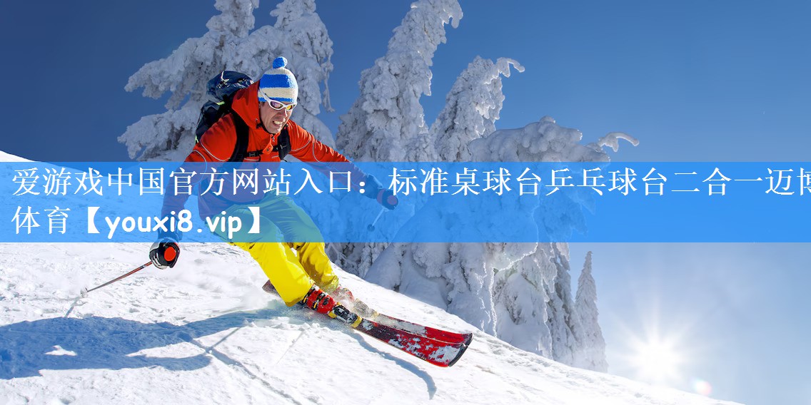 爱游戏中国官方网站入口:标准桌球台乒乓球台二合一迈博体育