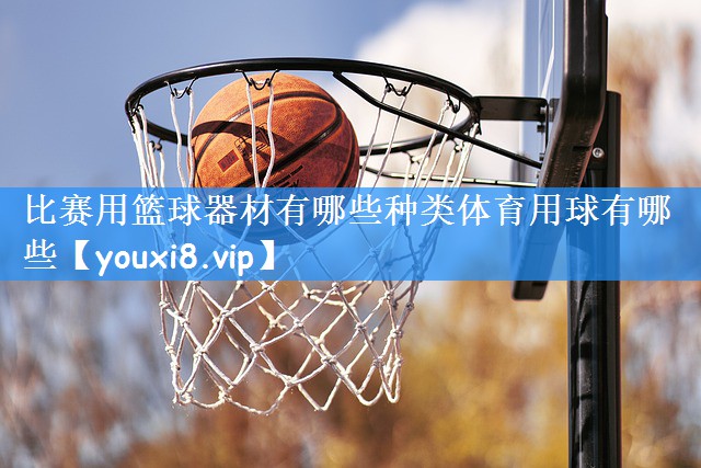 比赛用篮球器材有哪些种类体育用球有哪些