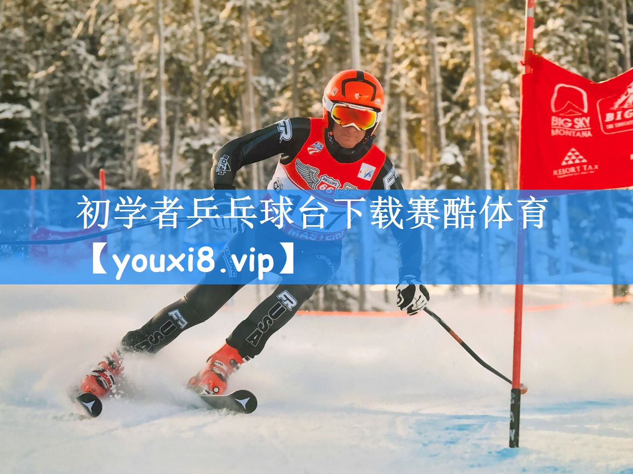 初学者乒乓球台下载赛酷体育