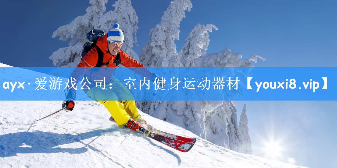 ayx·爱游戏公司：室内健身运动器材