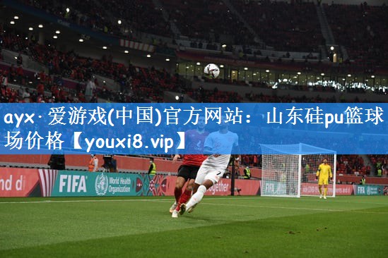 山东硅pu篮球场价格